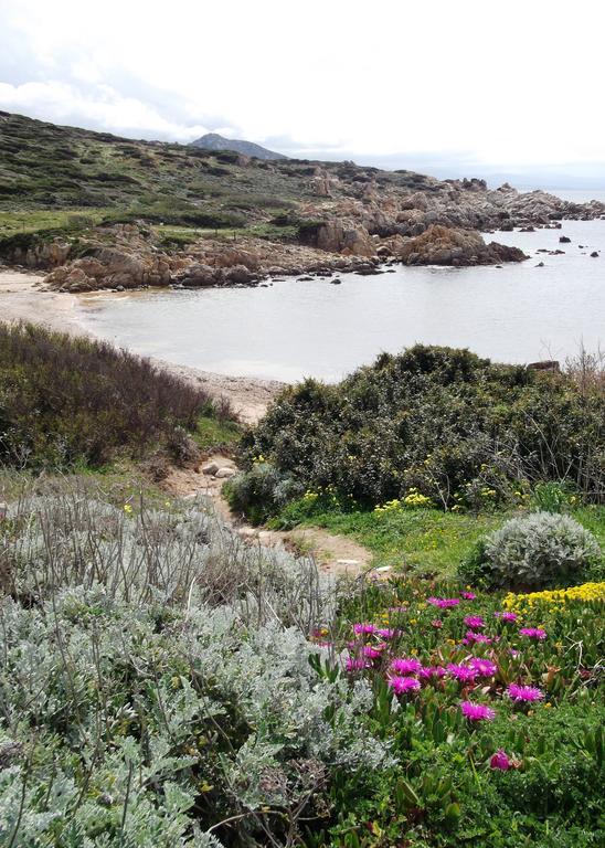 Villetta Cenni Santa Teresa Gallura Luaran gambar